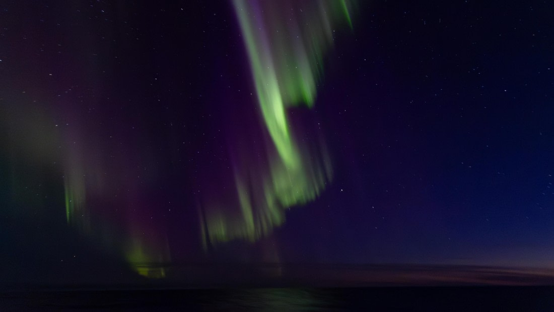 OTL12-24, Day 1,  095A4144 © Martin Anstee - Oceanwide Expeditions.jpg