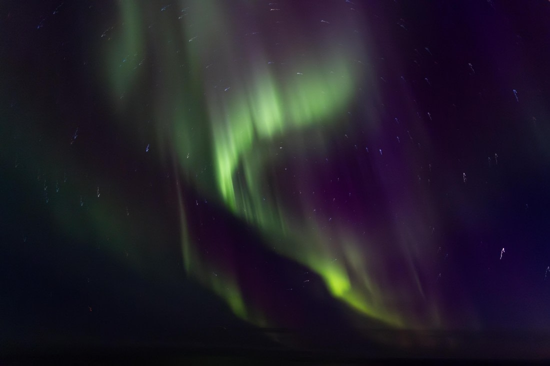 OTL12-24, Day 1,  095A4154 © Martin Anstee - Oceanwide Expeditions.jpg