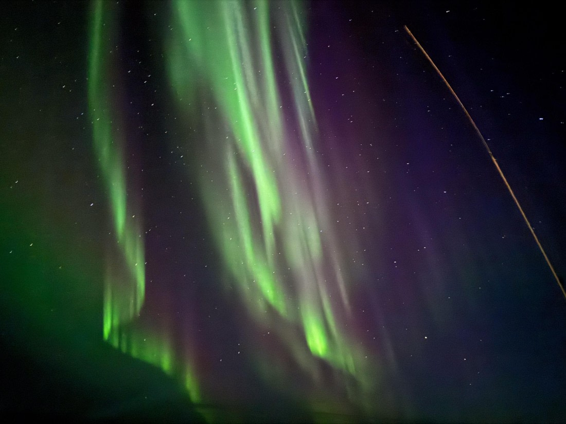 OTL12-24, Day 1,  IMG_8797 2 © Unknown photographer - Oceanwide Expeditions.jpg