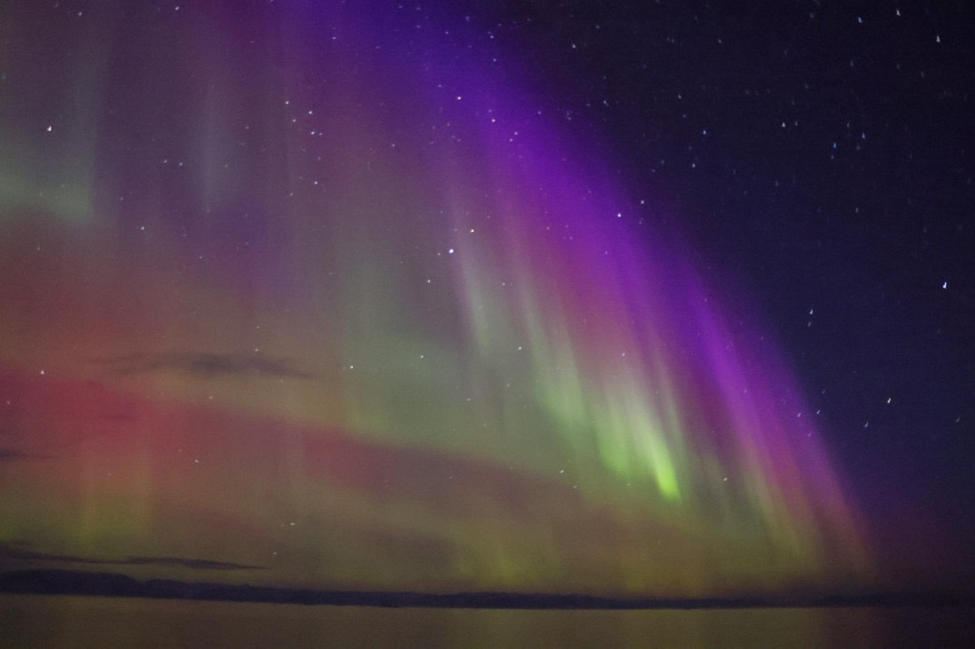 OTL12-24, Day 2,  5F4A1319 © Regis Perdriat - Oceanwide Expeditions.jpg