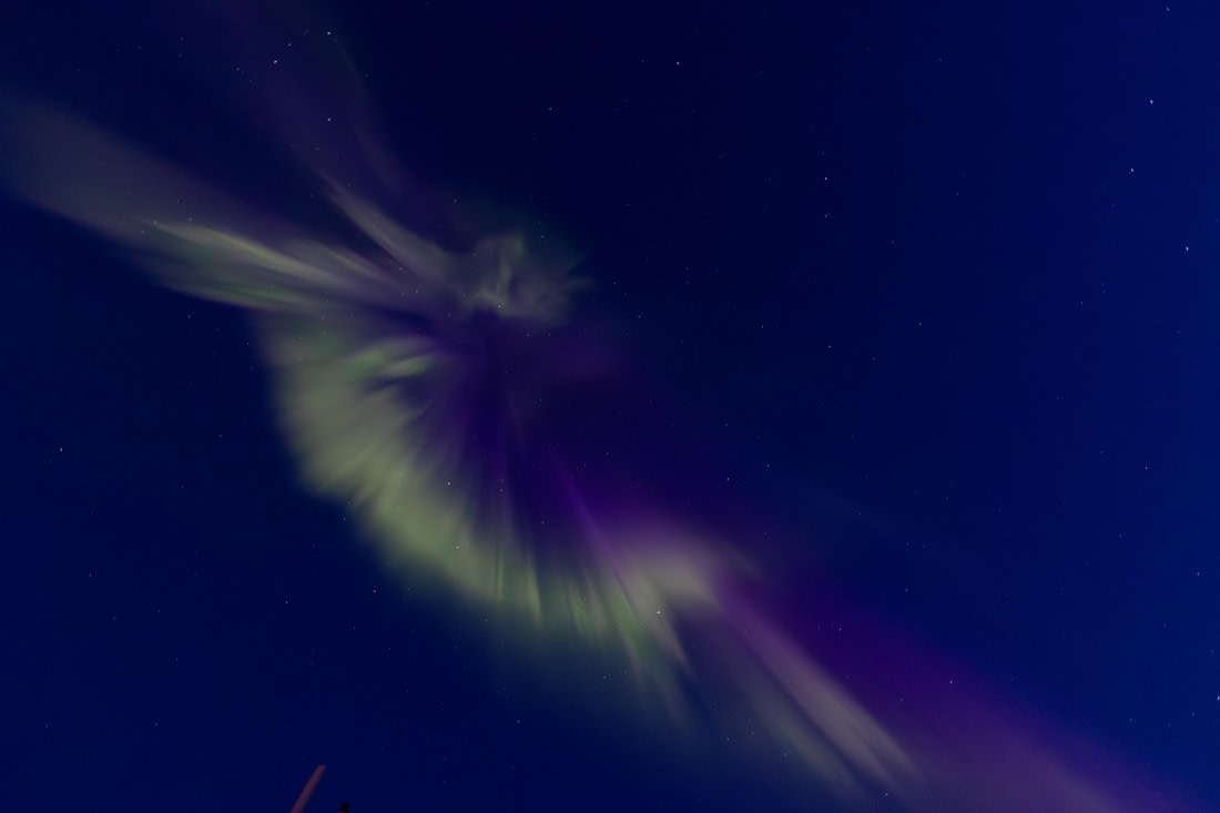 OTL12-24, Day 3,  095A4230 © Martin Anstee - Oceanwide Expeditions.jpg