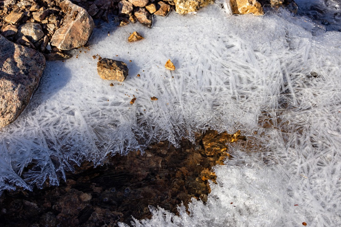 OTL12-24, Day 4,  088A2244 © Martin Anstee - Oceanwide Expeditions.jpg