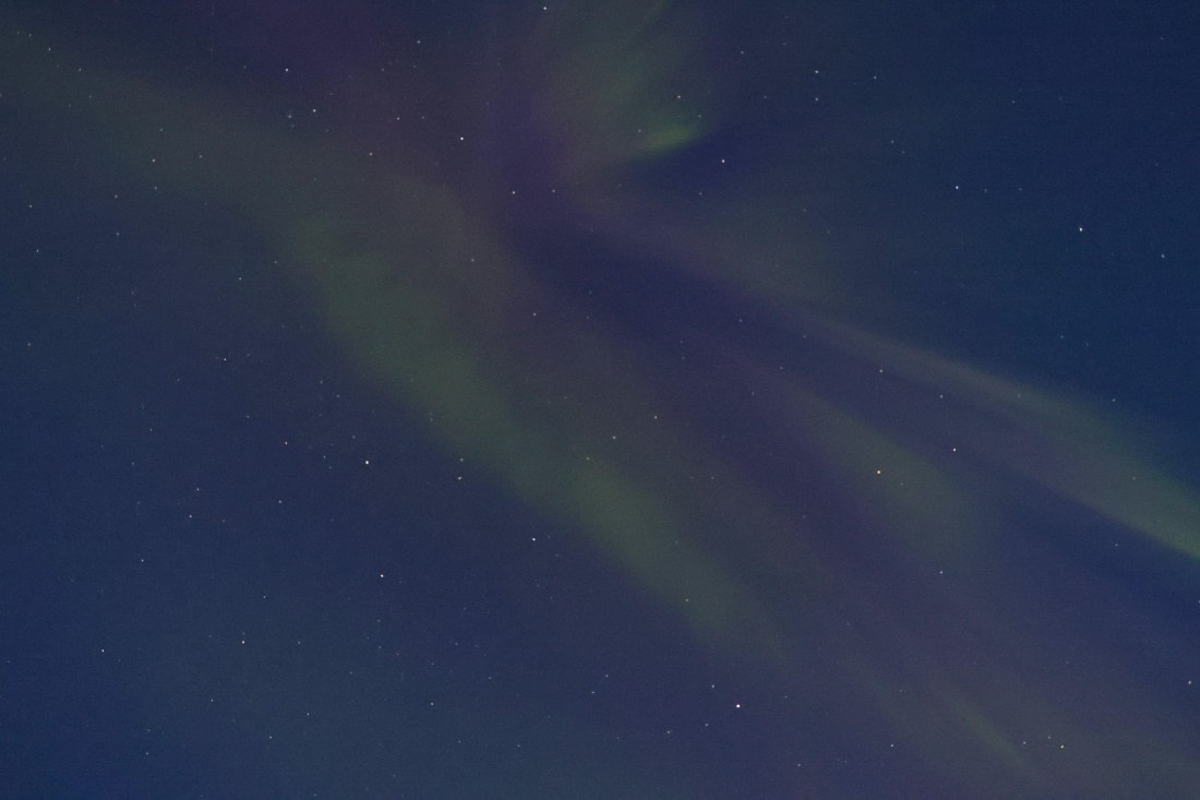 OTL12-24, Day 4,  Aurora_Regis_PERDRIAT (3) © Regis Perdriat - Oceanwide Expeditions.jpg