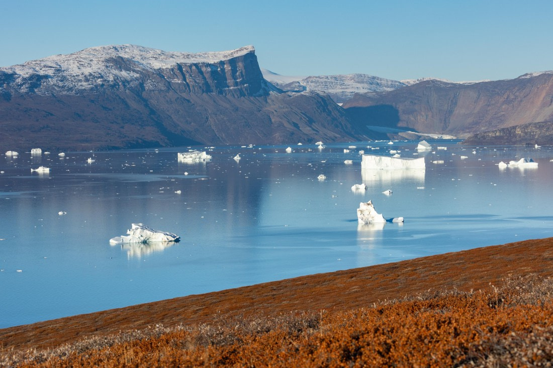 OTL12-24, Day 4,  FZ1A0787 © Unknown photographer - Oceanwide Expeditions.jpg