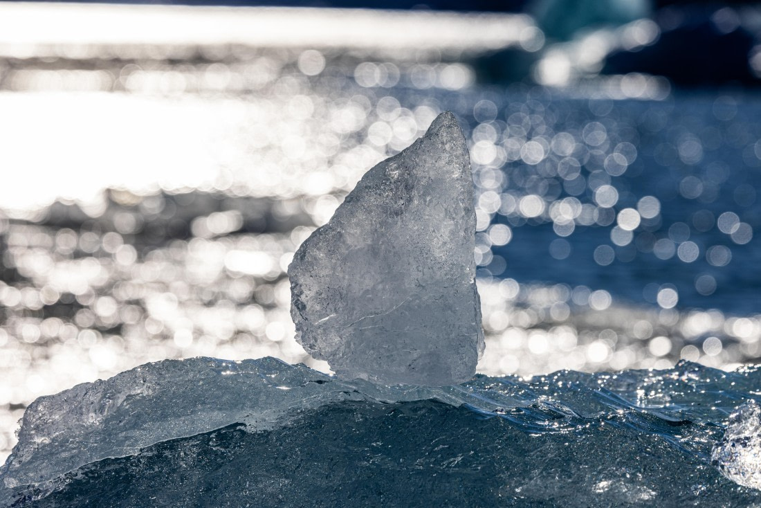 OTL12-24, Day 6,  088A2336 © Martin Anstee - Oceanwide Expeditions.jpg