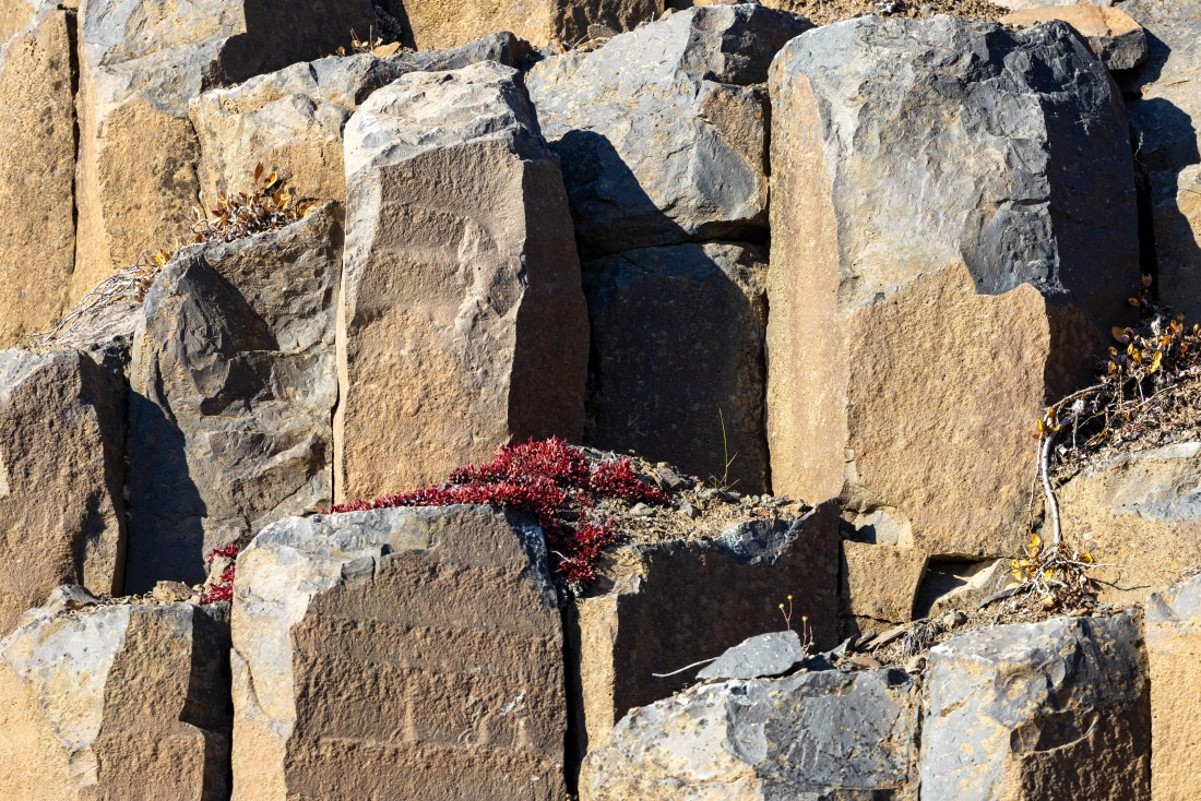 OTL12-24, Day 6,  088A2343 © Martin Anstee - Oceanwide Expeditions.jpg