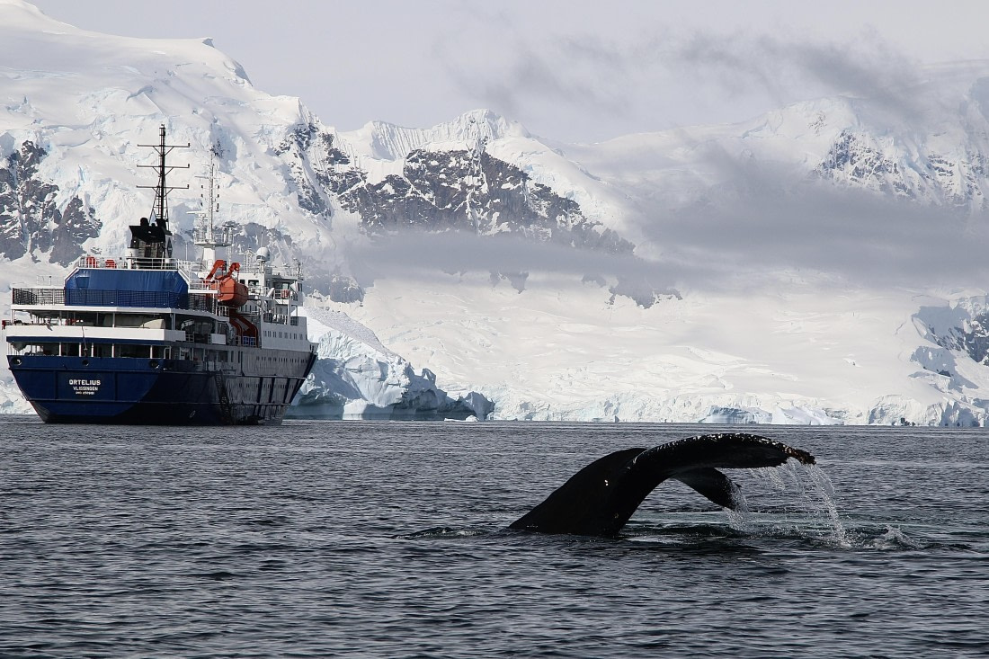 “Right time, right place”