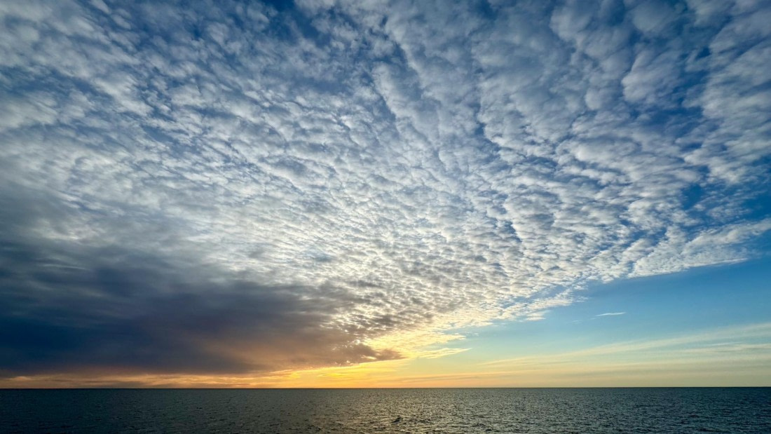 PLA20-24, Day 2, IMG_3415 © Unknown photographer - Oceanwide Expeditions.jpg