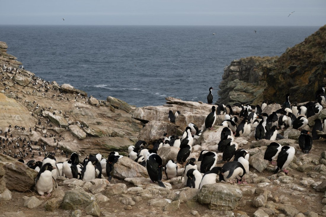 PLA20-24, Day 5, 20241022-8AY_0599 © Unknown photographer - Oceanwide Expeditions.jpg