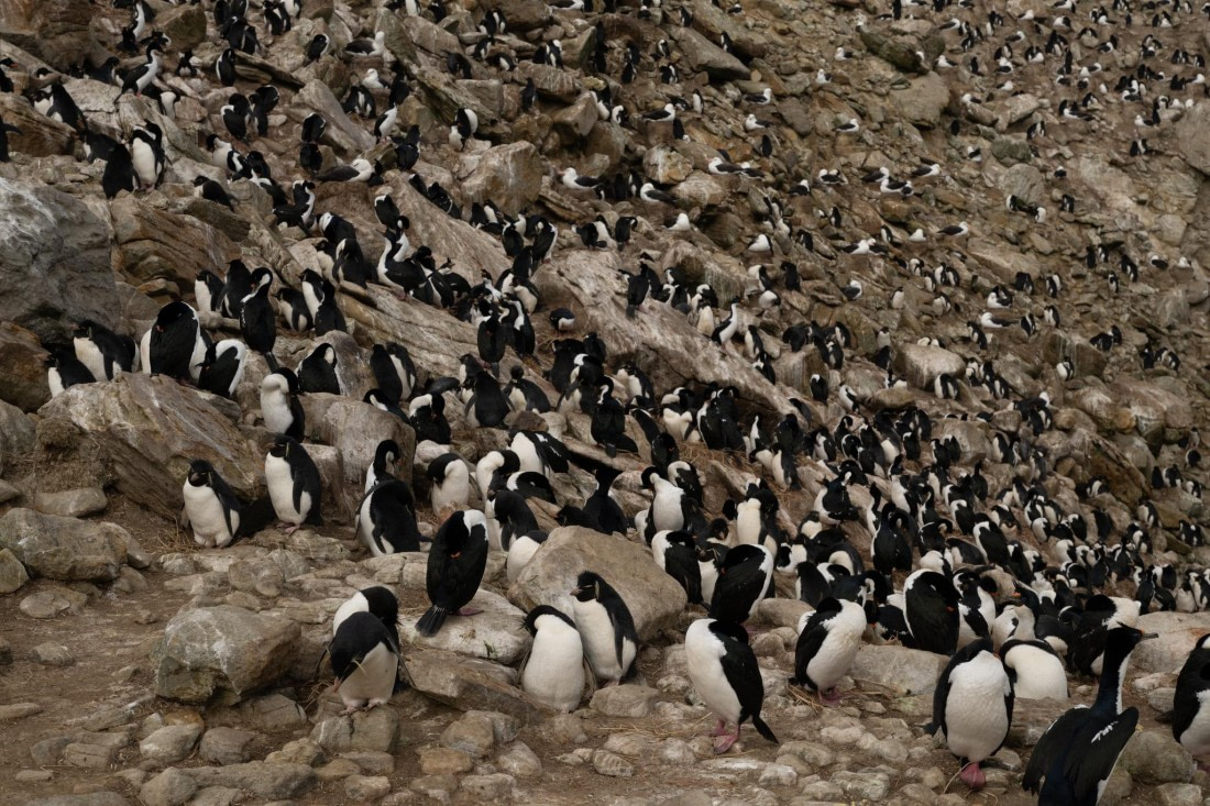 PLA20-24, Day 5, 20241022-8AY_0665 © Unknown photographer - Oceanwide Expeditions.jpg