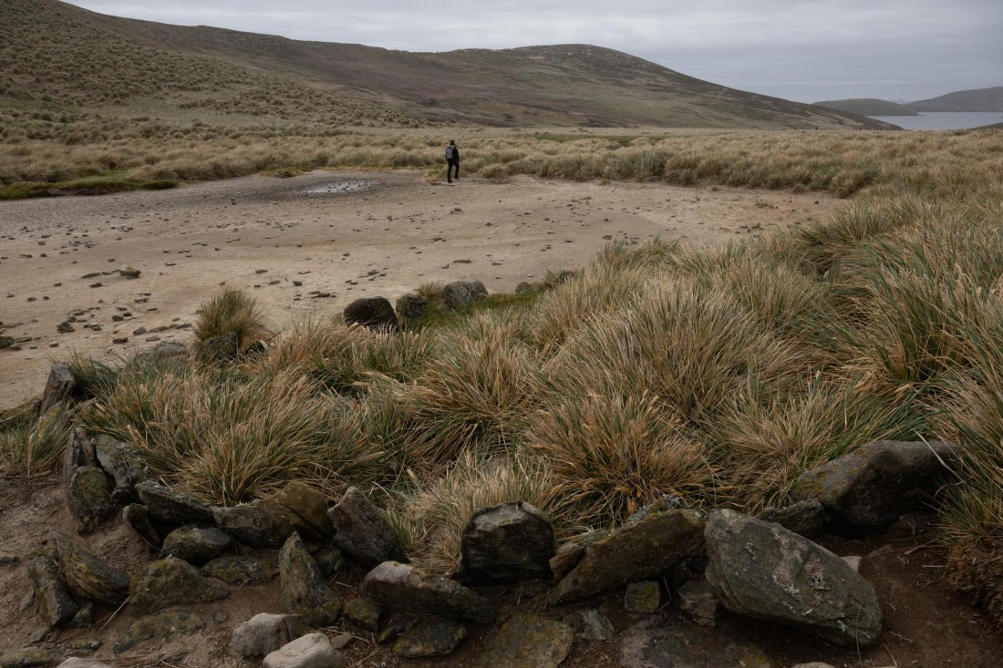 PLA20-24, Day 5, 20241022-8AY_0693 © Unknown photographer - Oceanwide Expeditions.jpg