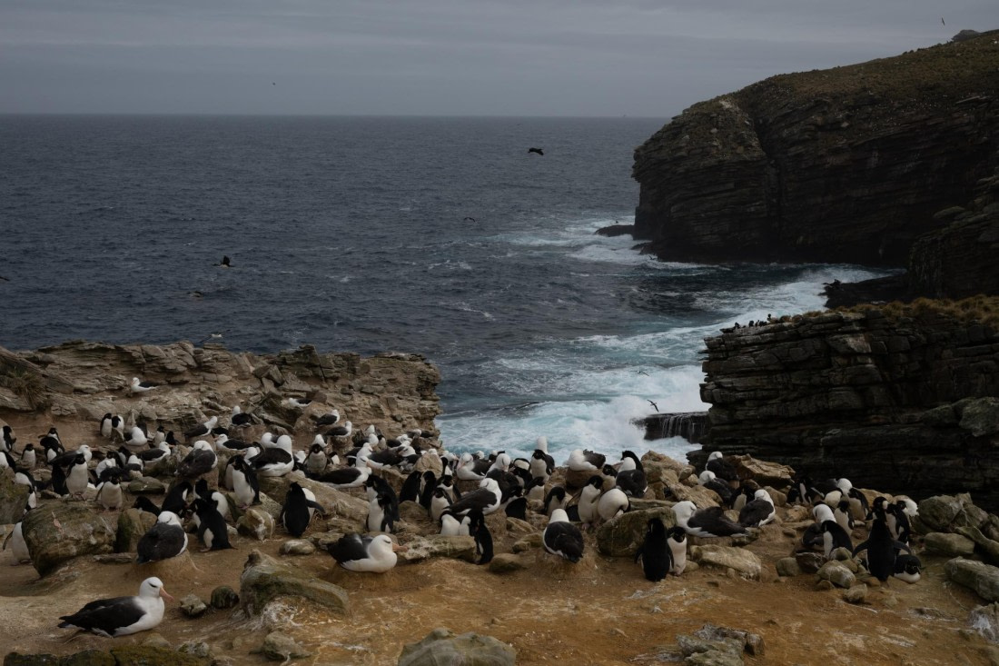 PLA20-24, Day 5, 20241022-8AY_0738 © Unknown photographer - Oceanwide Expeditions.jpg