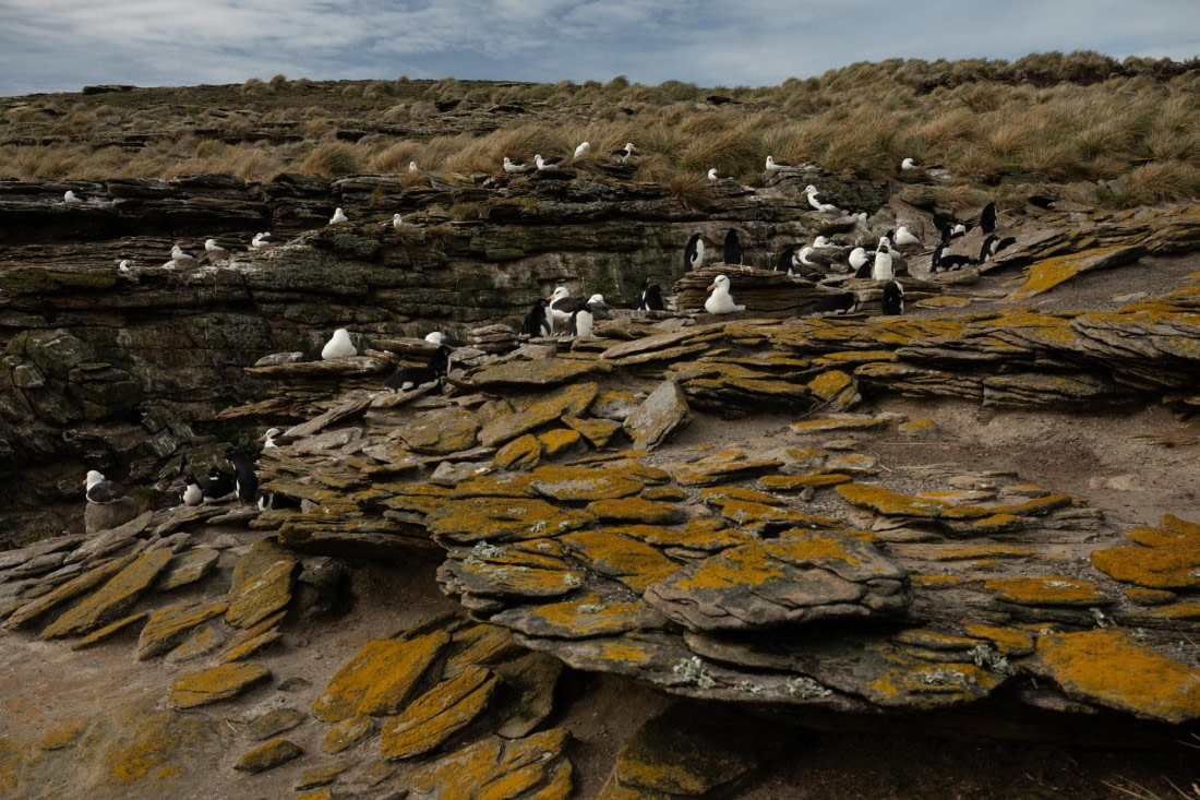PLA20-24, Day 5, 20241022-8AY_0839 © Unknown photographer - Oceanwide Expeditions.jpg