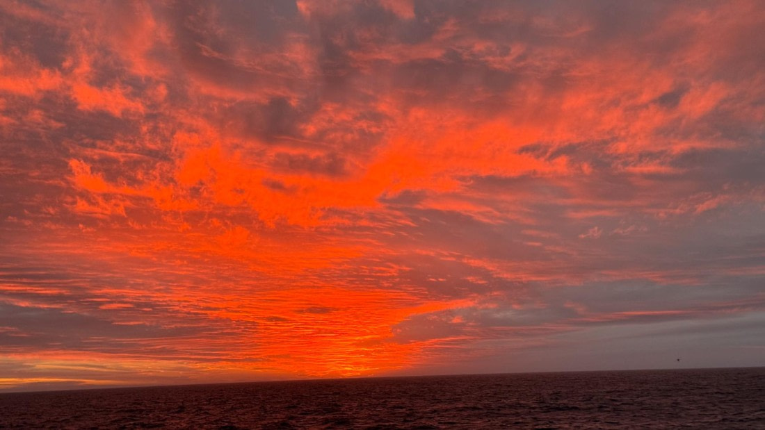 PLA20-24, Day 5, 20241022-IMG_3780 © Unknown photographer - Oceanwide Expeditions.jpg