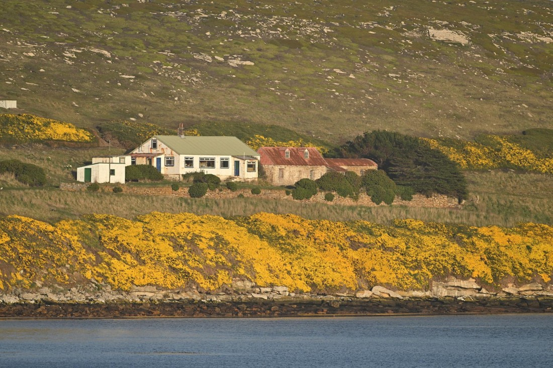 PLA20-24, Day 5, AY8_4969_20241022_6760 © Yves Adams - Oceanwide Expeditions.JPG