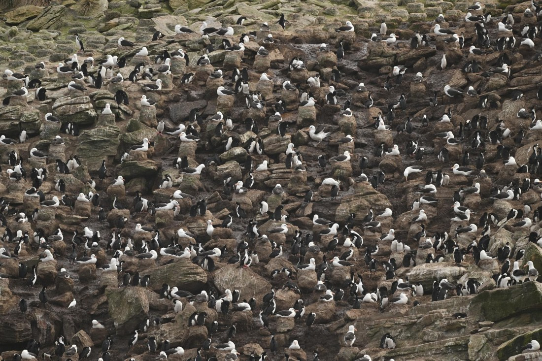 PLA20-24, Day 5, AY8_8112_20241022_6791 © Yves Adams - Oceanwide Expeditions.JPG