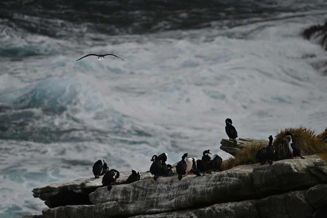 PLA20-24, Day 5, AY8_8545_20241022_6802 © Yves Adams - Oceanwide Expeditions.JPG