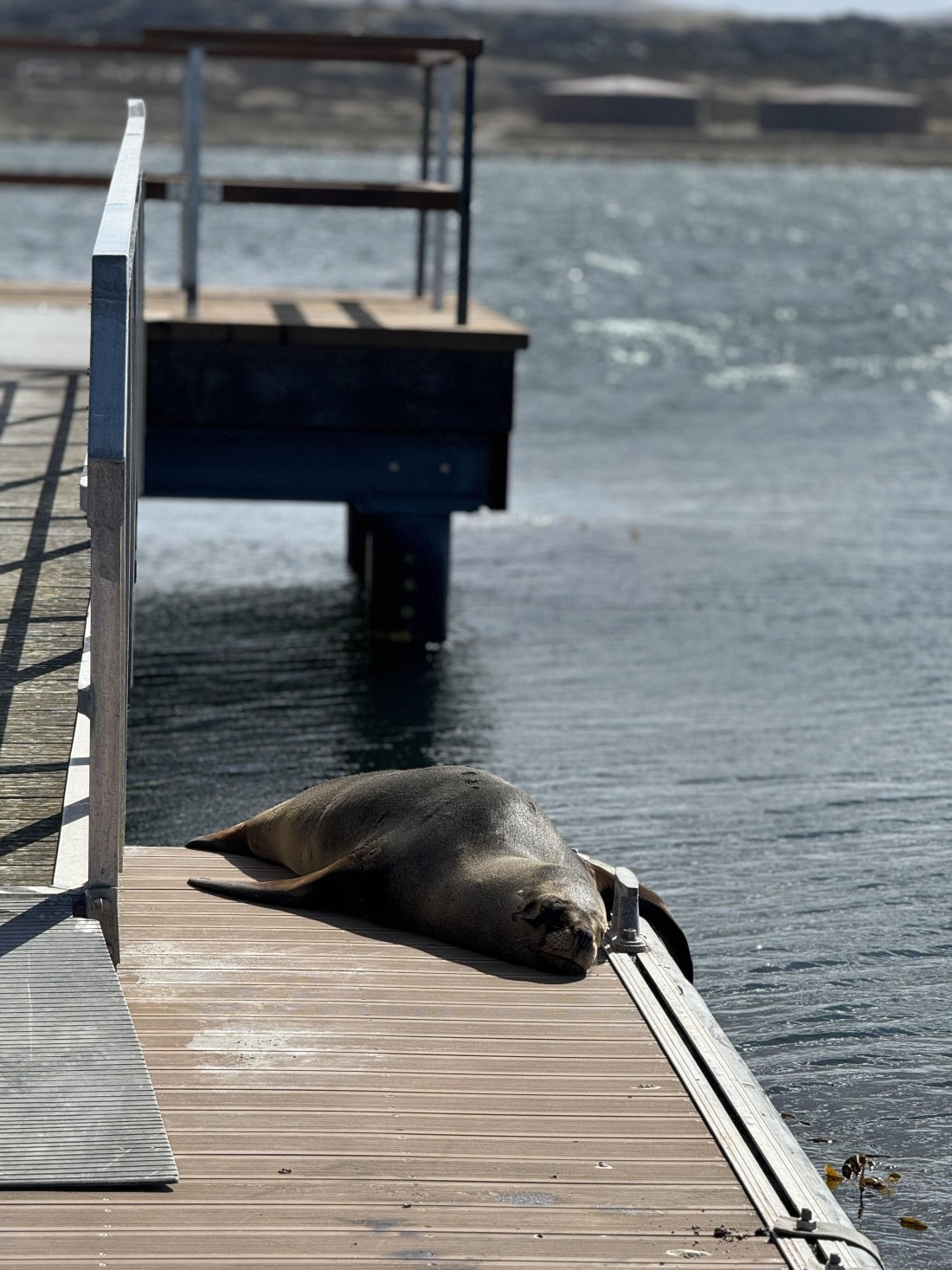 PLA20-24, Day 6, IMG_4524 © Unknown photographer - Oceanwide Expeditions.jpg