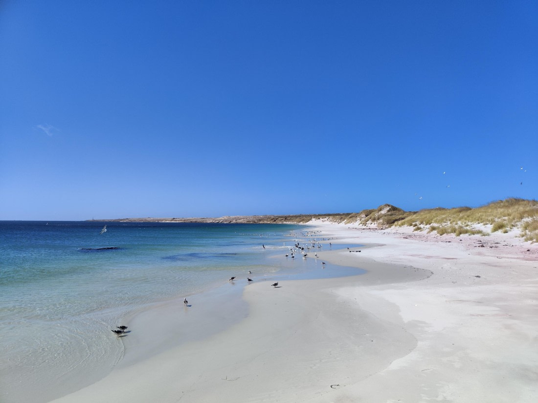 PLA20-24, Day 6, IMG_20241023_110919 © Unknown photographer - Oceanwide Expeditions.jpg