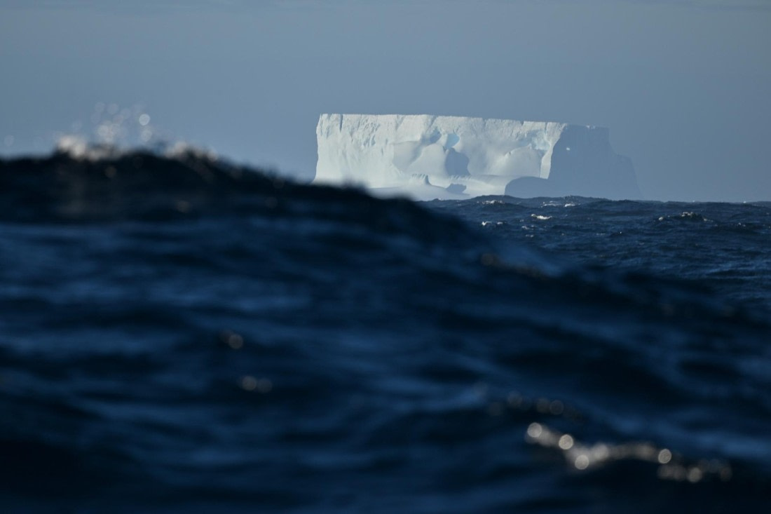PLA20-24, Day 7, YA6_5920_20241024_6896 © Yves Adams - Oceanwide Expeditions.JPG