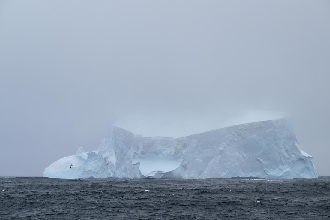 PLA20-24, Day 8, AY8_4785_20241025_7270 © Yves Adams - Oceanwide Expeditions.JPG