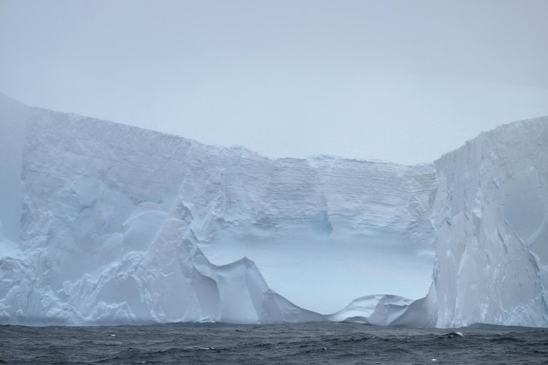 PLA20-24, Day 8, AY8_4833_20241025_7271 © Yves Adams - Oceanwide Expeditions.JPG