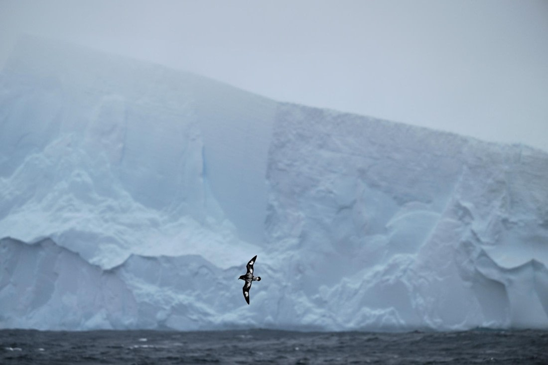 PLA20-24, Day 8, AY8_4912_20241025_7272 © Yves Adams - Oceanwide Expeditions.JPG