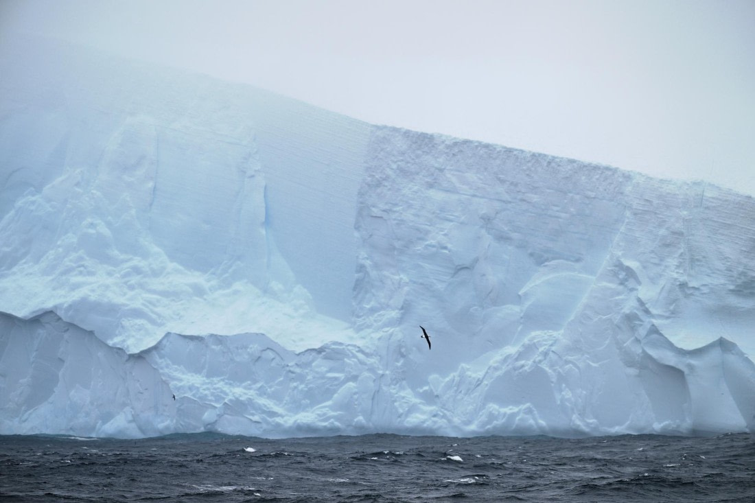 PLA20-24, Day 8, AY8_4939_20241025_7274 © Yves Adams - Oceanwide Expeditions.JPG