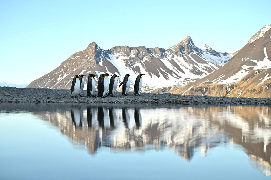 PLA20-24, Day 9, 8AY_1114_20241026_7026_YvesAdams_20241026_7193 © Yves Adams - Oceanwide Expeditions.JPG