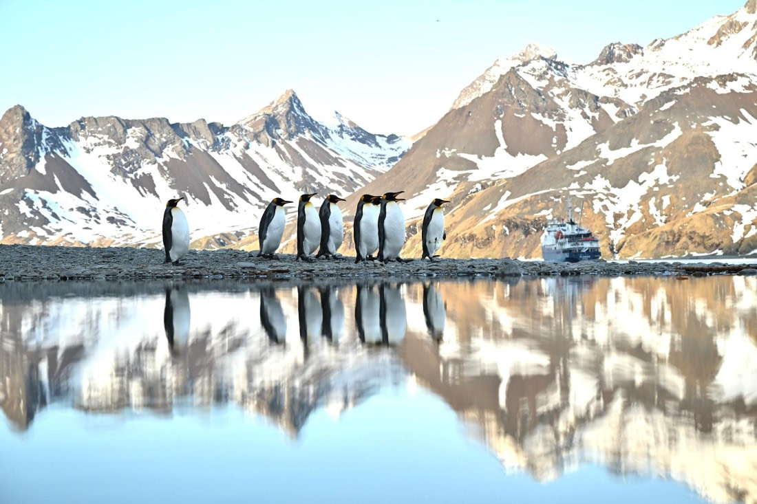 PLA20-24, Day 9, 8AY_1190_20241026_7025_YvesAdams_20241026_7194 © Yves Adams - Oceanwide Expeditions.JPG