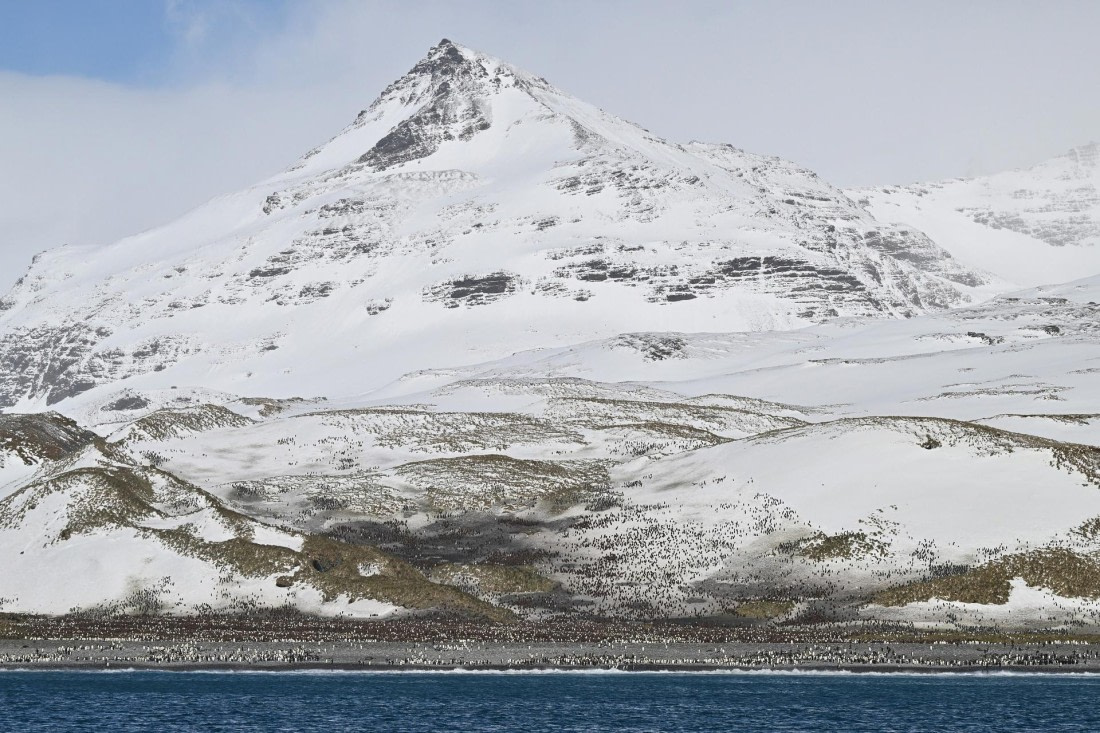 PLA20-24, Day 9, AY8_5211_20241026_7033 © Yves Adams - Oceanwide Expeditions.JPG