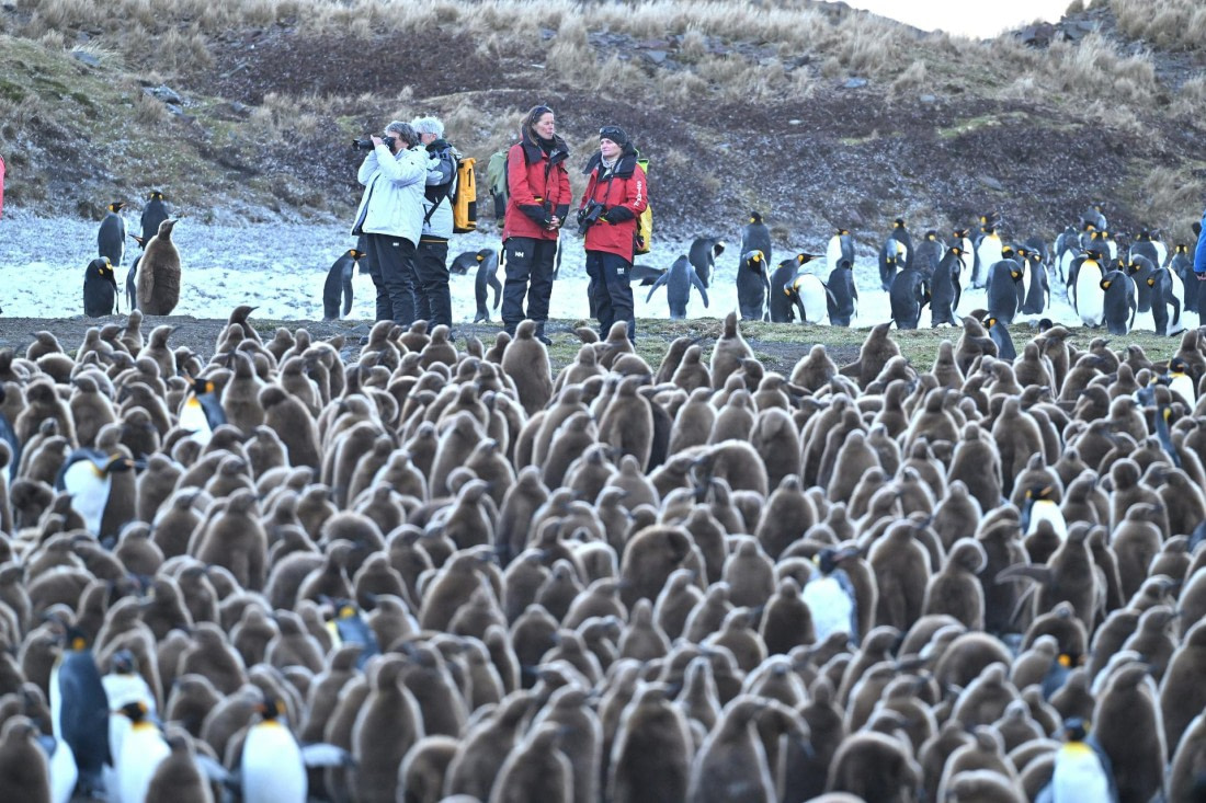 PLA20-24, Day 9, YA6_1926_20241026_7176 © Yves Adams - Oceanwide Expeditions.JPG