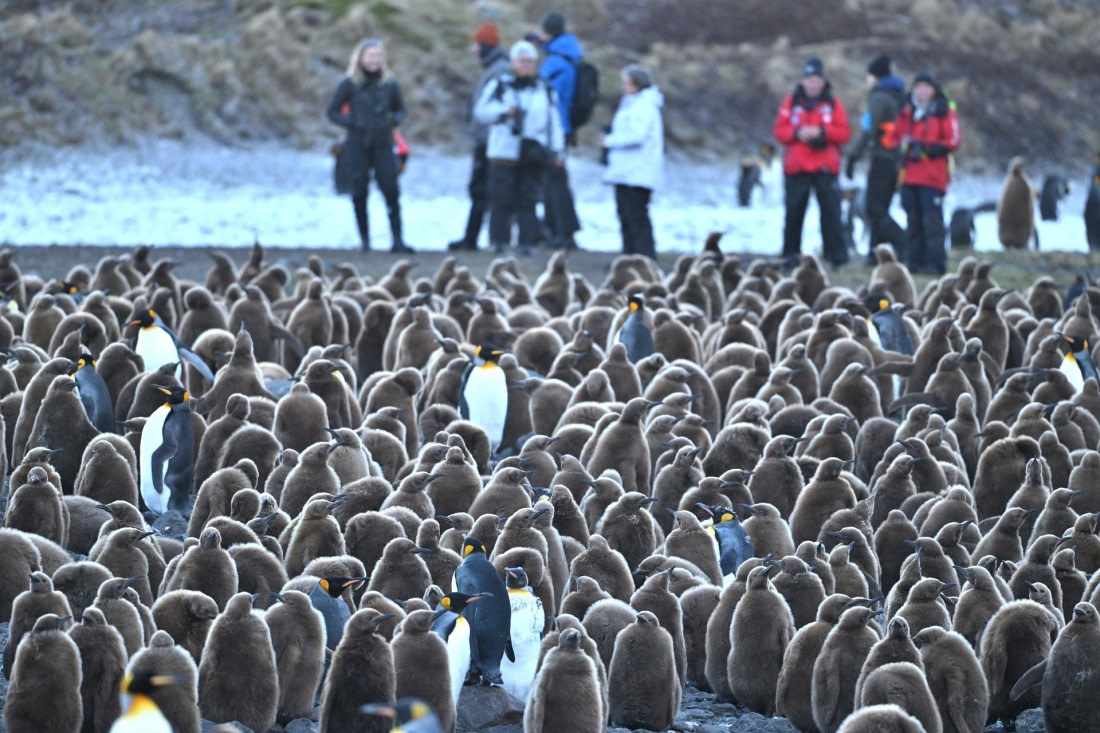 PLA20-24, Day 9, YA6_2005_20241026_7178 © Yves Adams - Oceanwide Expeditions.JPG