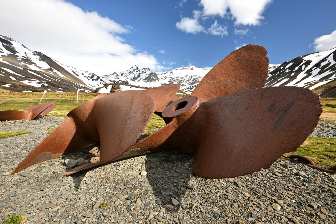 PLA20-24, Day 10, 8AY_1405_20241027_7023 © Yves Adams - Oceanwide Expeditions.JPG
