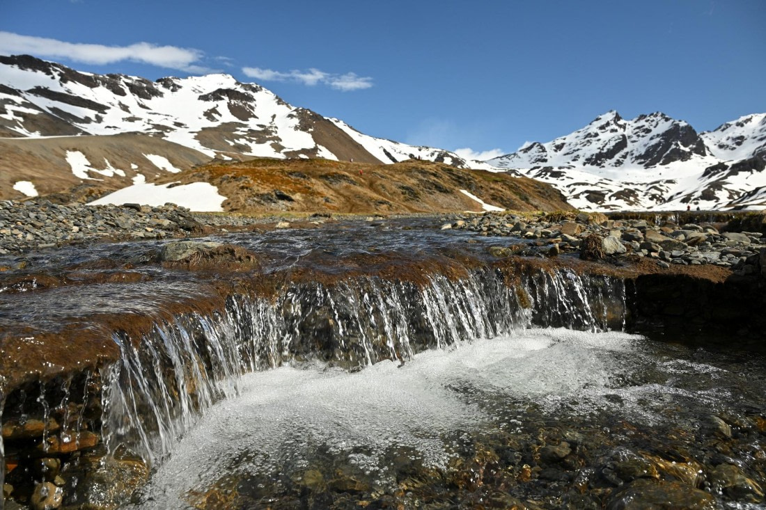 PLA20-24, Day 10, 8AY_1728_20241027_7020 © Yves Adams - Oceanwide Expeditions.JPG