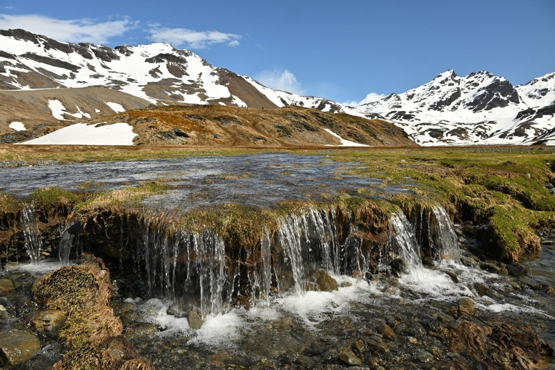 PLA20-24, Day 10, 8AY_1798_20241027_7019 © Yves Adams - Oceanwide Expeditions.JPG