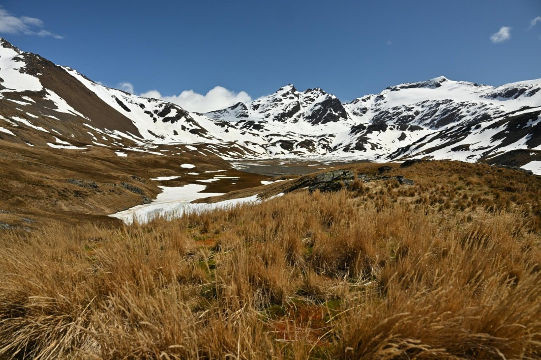 PLA20-24, Day 10, 8AY_1838_20241027_7015 © Yves Adams - Oceanwide Expeditions.JPG