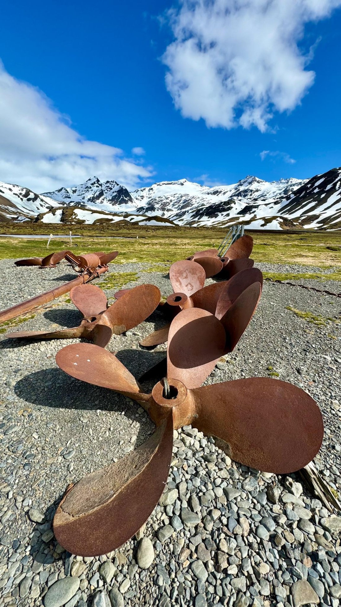 PLA20-24, Day 10, 20241027-IMG_4034 2 © Unknown photographer - Oceanwide Expeditions.jpg