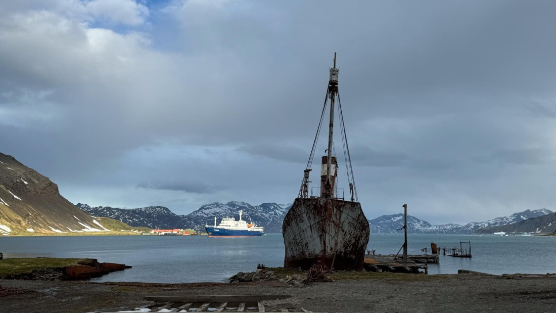 PLA20-24, Day 10, 20241027-IMG_4088 © Unknown photographer - Oceanwide Expeditions.jpg