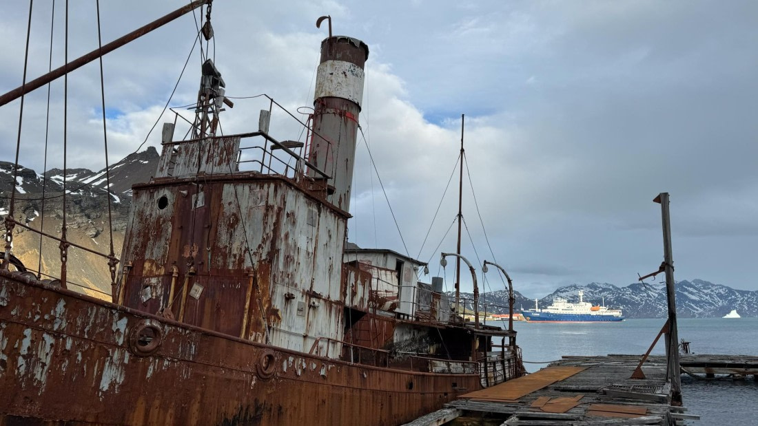 PLA20-24, Day 10, 20241027-IMG_4091 © Unknown photographer - Oceanwide Expeditions.jpg