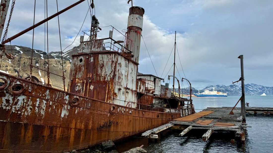 PLA20-24, Day 10, 20241027-IMG_4095 © Unknown photographer - Oceanwide Expeditions.jpg