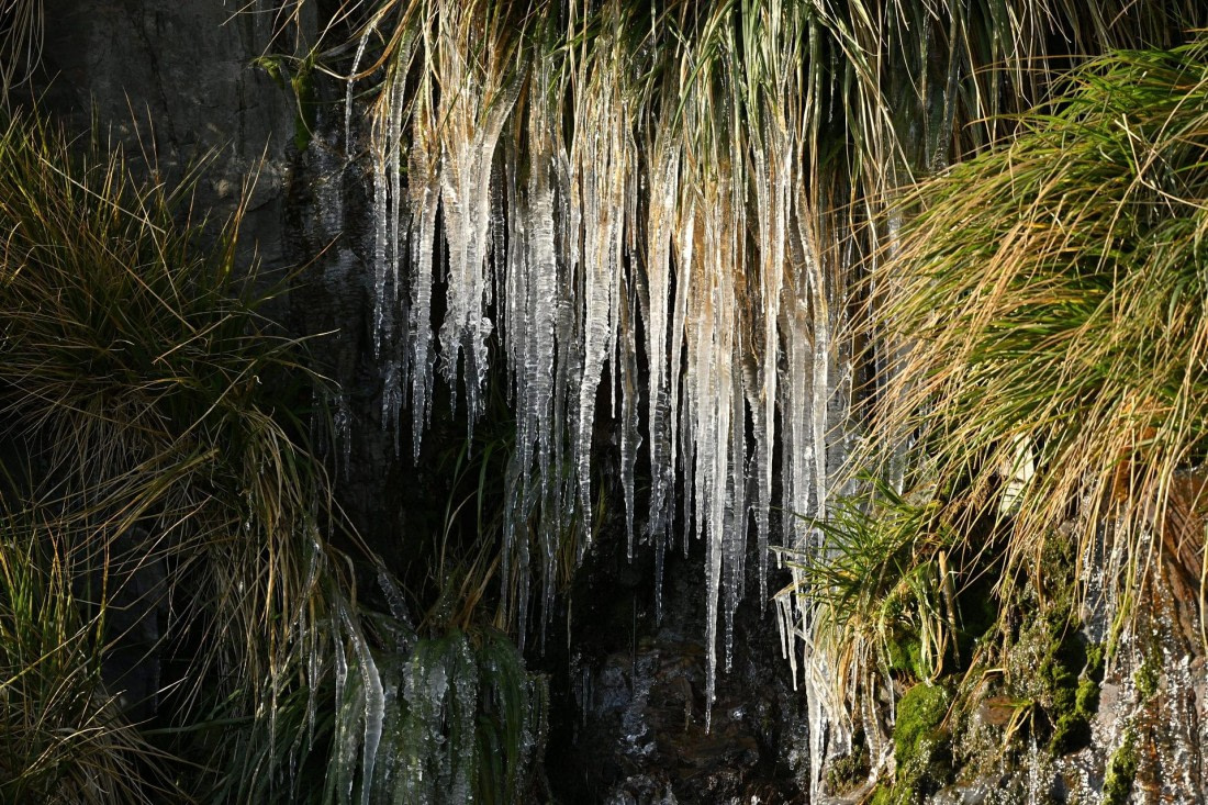 PLA20-24, Day 10, YA6_3358_20241027_7201 © Yves Adams - Oceanwide Expeditions.JPG