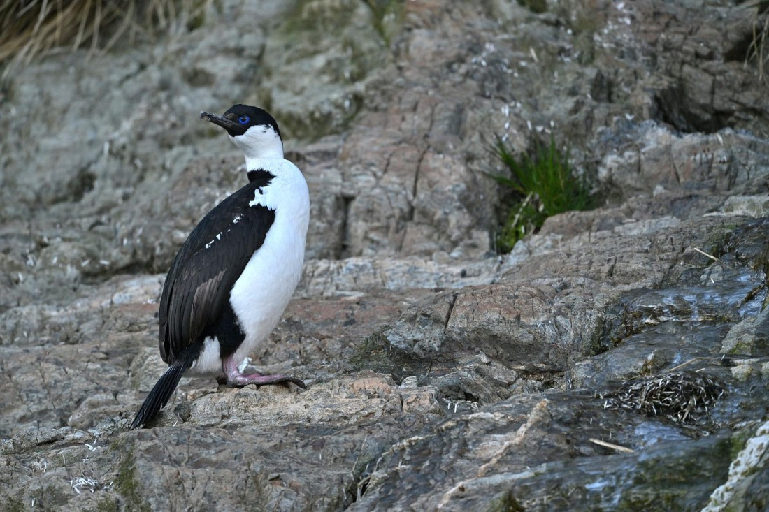 PLA20-24, Day 10, YA6_3524_20241027_7202 © Yves Adams - Oceanwide Expeditions.JPG