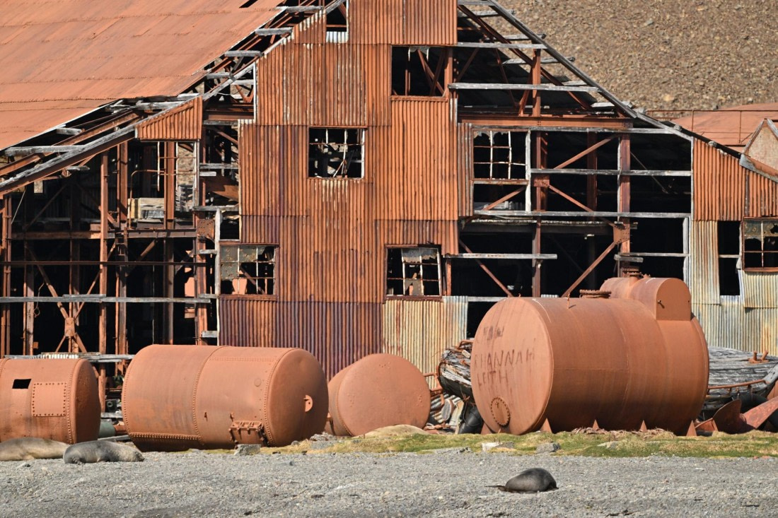 PLA20-24, Day 10, YA6_4715_20241027_7217 © Yves Adams - Oceanwide Expeditions.JPG