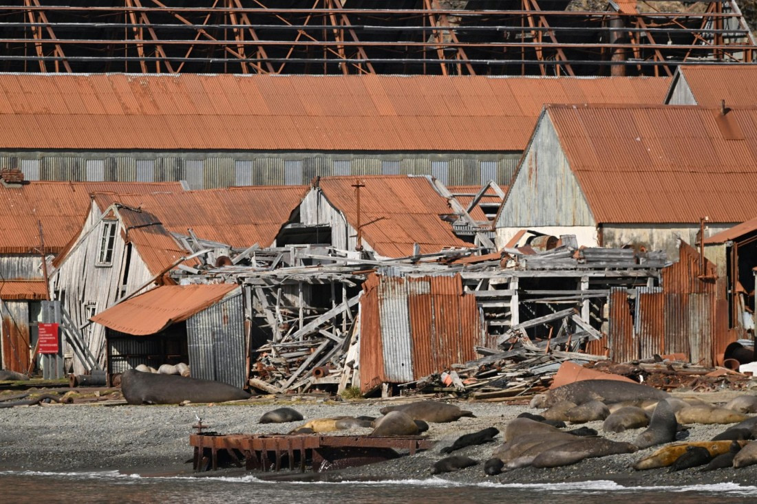 PLA20-24, Day 10, YA6_4727_20241027_7218 © Yves Adams - Oceanwide Expeditions.JPG