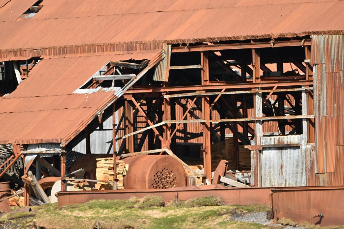 PLA20-24, Day 10, YA6_4729_20241027_7219 © Yves Adams - Oceanwide Expeditions.JPG