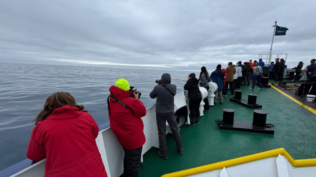 PLA20-24, Day 11, 20241028-IMG_4147 © Unknown photographer - Oceanwide Expeditions.jpg