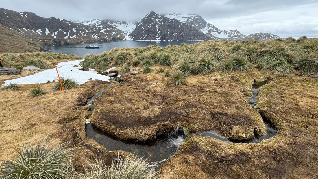 PLA20-24, Day 11, 20241028-IMG_4172 © Unknown photographer - Oceanwide Expeditions.jpg