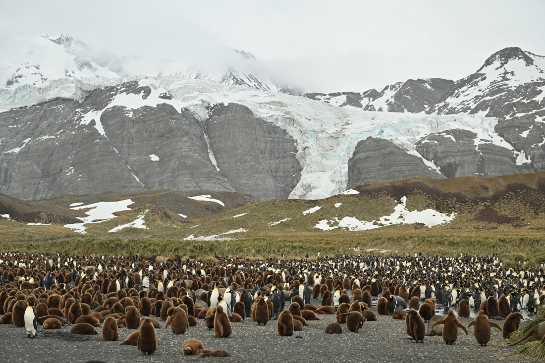 PLA20-24, Day 12, 8AY_4300_20241029_6934 © Yves Adams - Oceanwide Expeditions.JPG