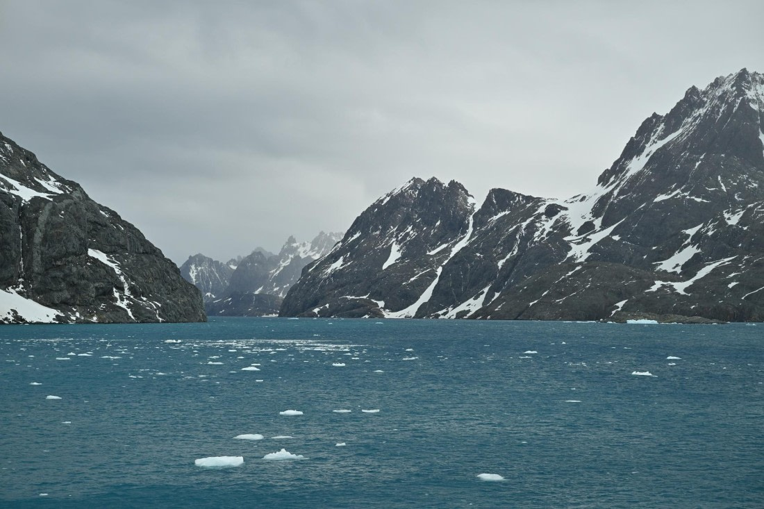 PLA20-24, Day 12, 8AY_4579_20241029_6928 © Yves Adams - Oceanwide Expeditions.JPG